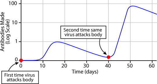 antibody graph